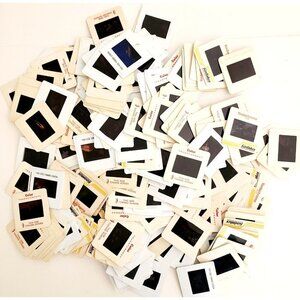 1980-90s Birds Bulk Lot Of 220 Pcs 35mm Slides Coastal Forest Vintage E50E